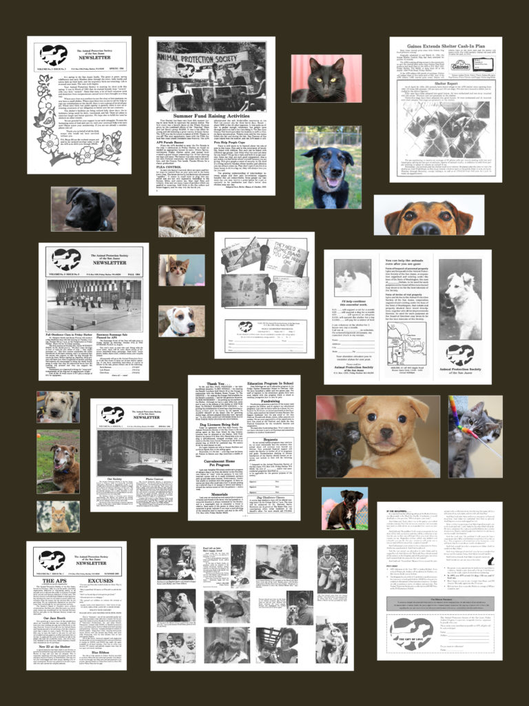 Our Present Collage
