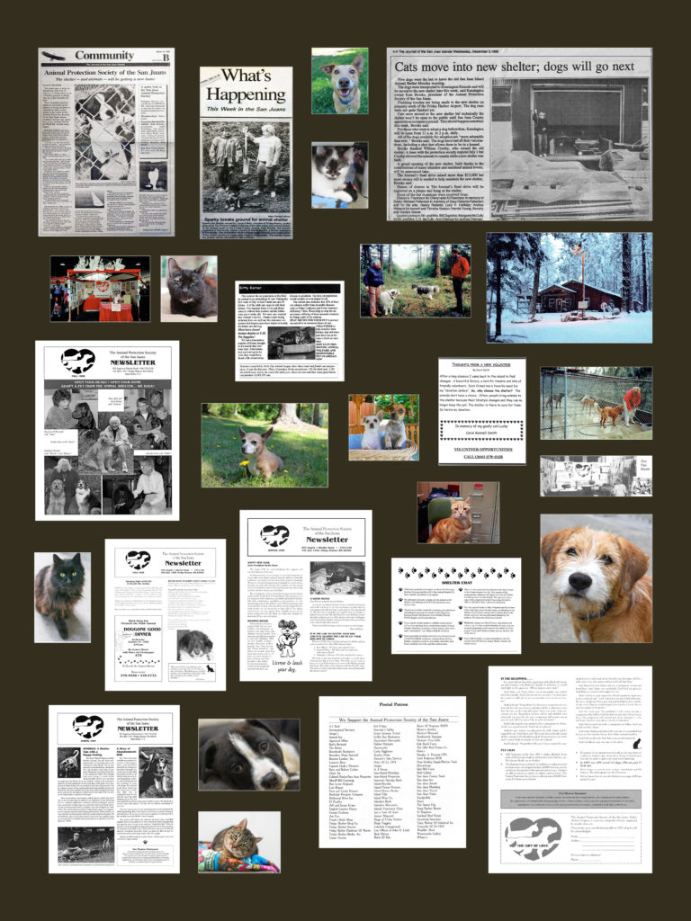 Our Past Collage