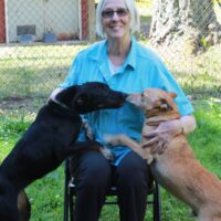 Volunteer of the Year Award 2016