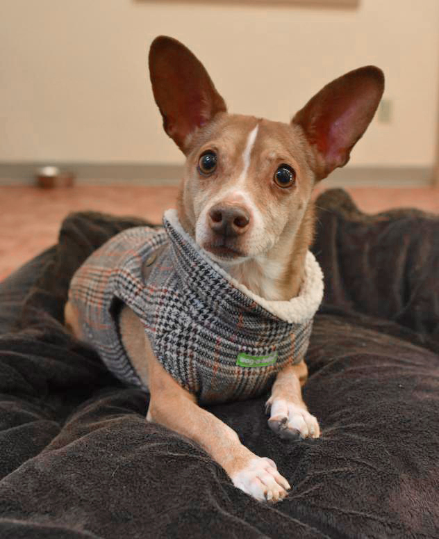 Tomorrow’s Promise Today – Our New Shelter