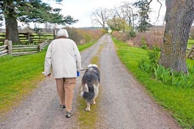 Dodie Gann Dog Walk