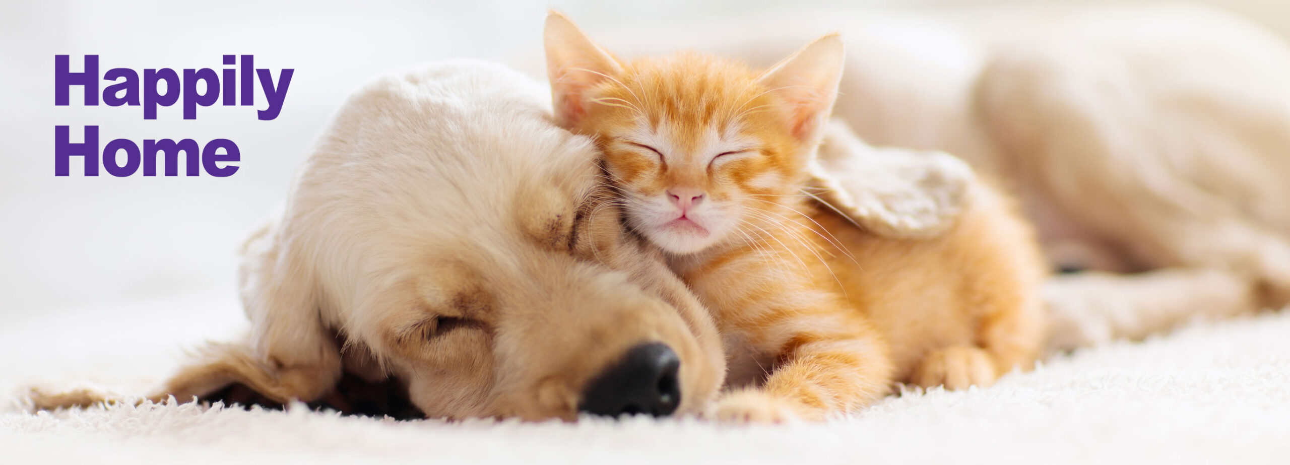 Happily Home