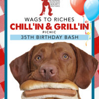 Wags to Riches