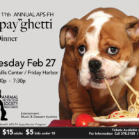 Spay-Ghetti