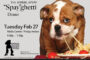 Spay-Ghetti
