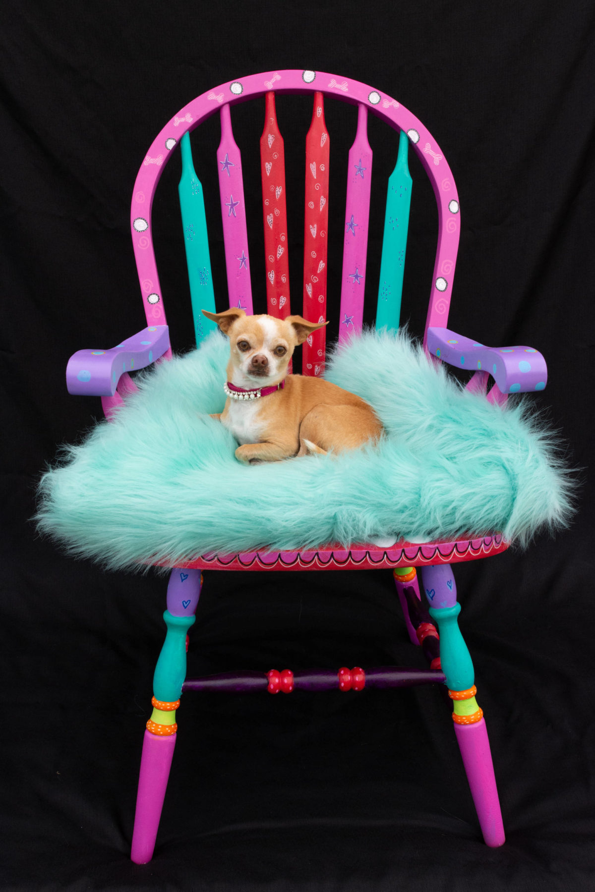 “Take a Seat for Animals – A Wine Tasting and Painted Chair Auction”