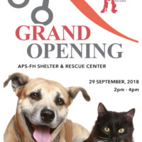 New Shelter, Grand Opening