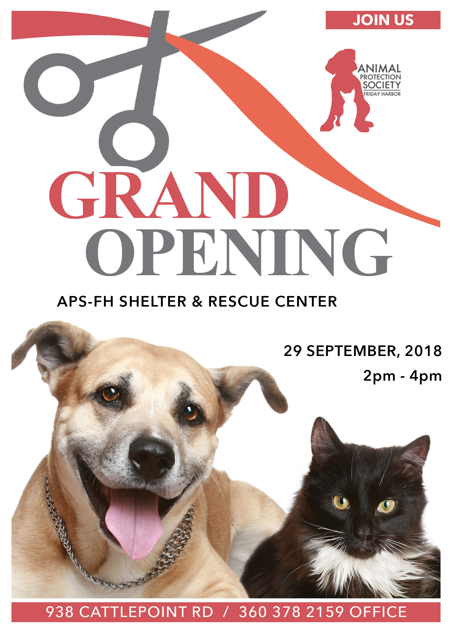 New Shelter, Grand Opening