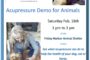 Accupressure Demonstration for Animals