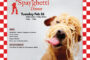 "Spay"ghetti Dinner - February 26