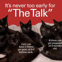 Never Too Early for "The Talk"