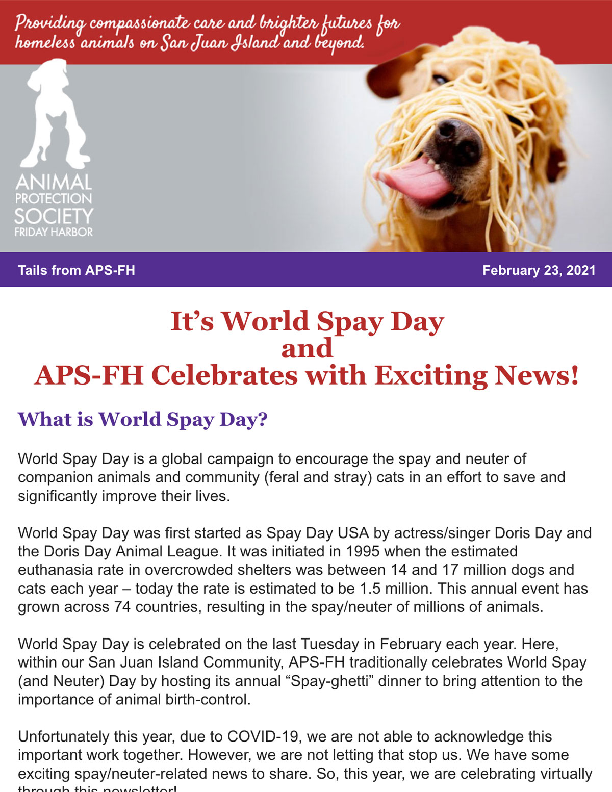 Feb 23 World Spay Day Newsletter