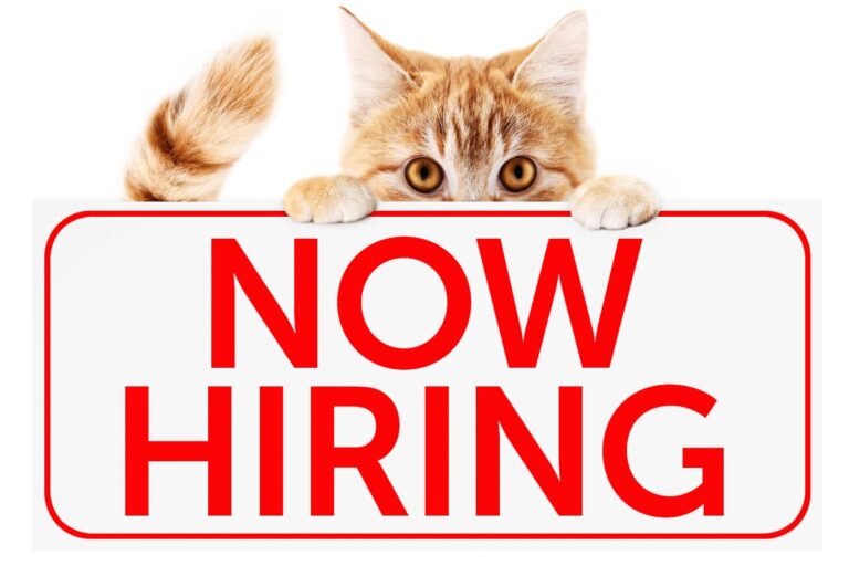 Job Opportunities Animal Protection Society Friday Harbor