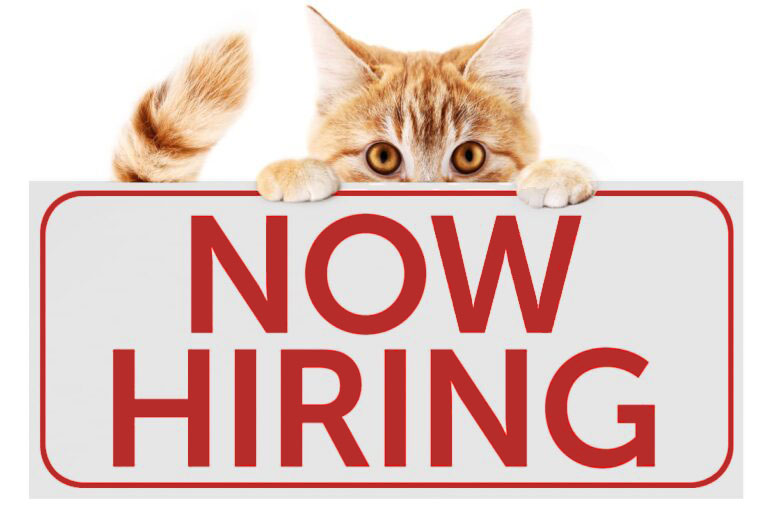Kitty Holding Now Hiring Sign