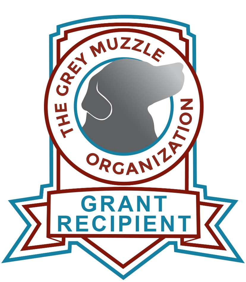 Grey Muzzle Grant Recipient