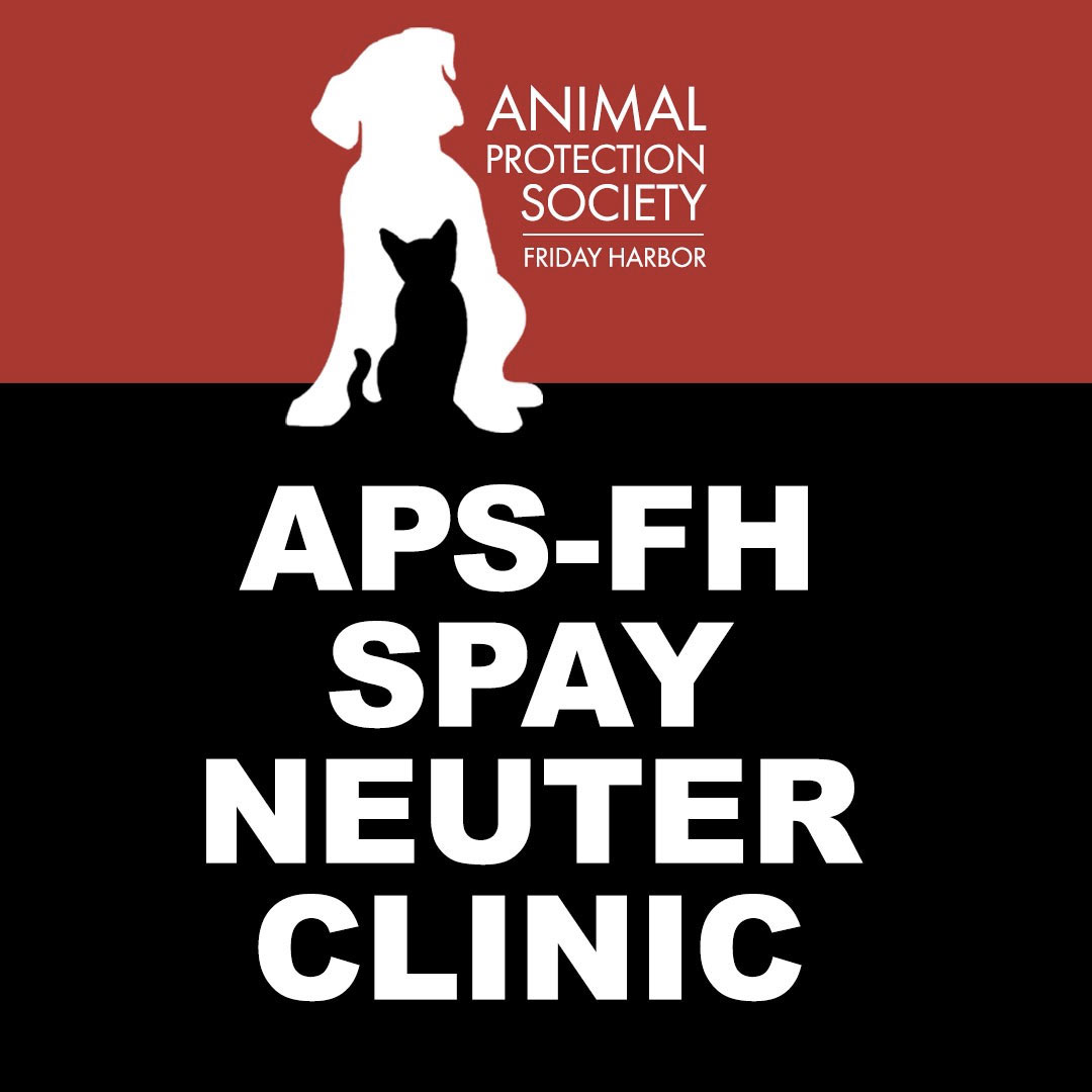 New Spay/Neuter Clinic for Low Income Families